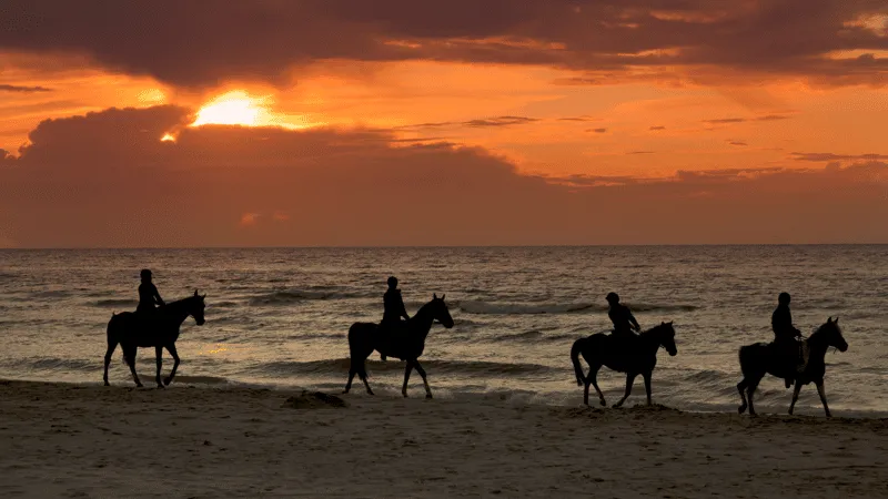 Afternoon horseback ride along golden-sand Aguadilla Beach with ocean views, beach horseback riding Puerto Rico on the northwest coast — the afternoon version of this same coastal ride