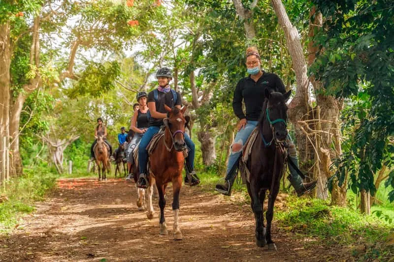 Riders on horseback through lush tropical rainforest at Carabalí Rainforest Park near Luquillo, horseback riding Puerto Rico — an alternative northeast option for riders comparing forest trail rides