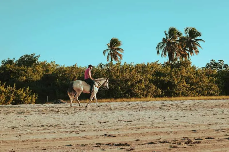Coastal horseback riding trail with panoramic ocean views in northwest Puerto Rico, beach horseback riding Puerto Rico along the Caribbean coastline near Isabela and Luquillo